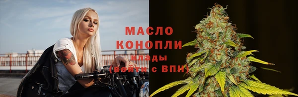 индика Нефтегорск