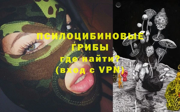 индика Нефтегорск