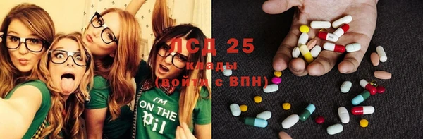 индика Нефтегорск