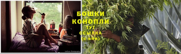 2c-b Новодвинск