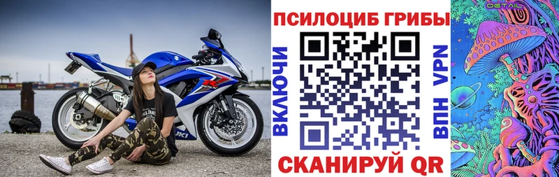 как найти закладки  shop Telegram  Псилоцибиновые грибы Psilocybe  Петушки 