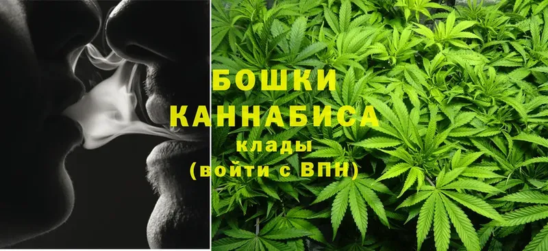 где найти наркотики  Петушки  Канабис THC 21% 